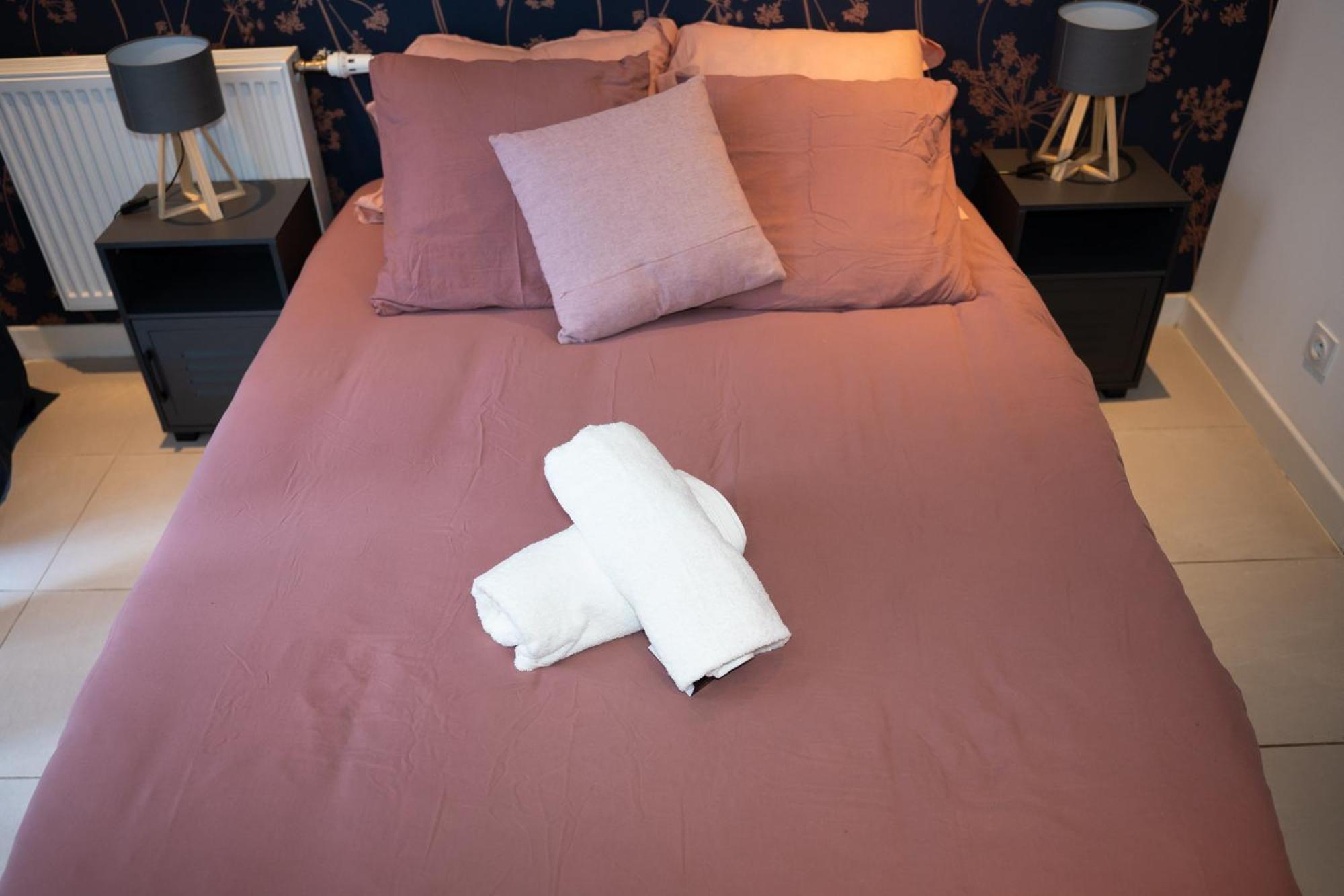 Apartament Le Bathalzar Villeneuve-d'Ascq Zewnętrze zdjęcie